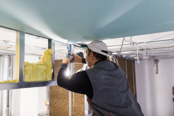 Best Spray Foam Insulation in Casas Adobes, AZ