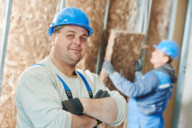 Best Eco-Friendly Insulation in Casas Adobes, AZ